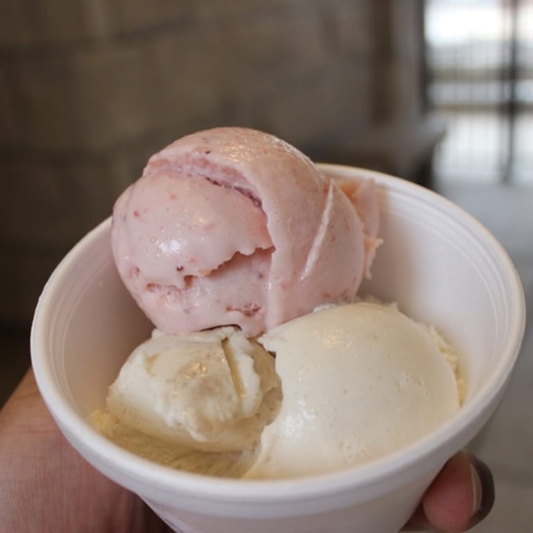 Indulge in our vegan ice cream