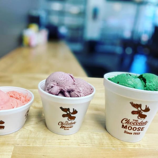 Three cups of The Chocolate Moose ice cream, with pink, purple, and green scoops.