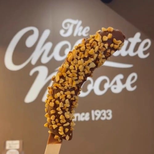 Moose Horn.