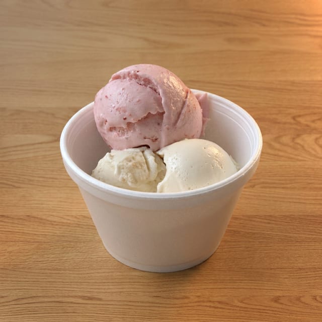 Vegan Ice Cream (Small).