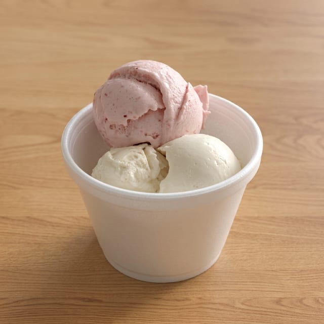 Vegan Ice Cream (Small).